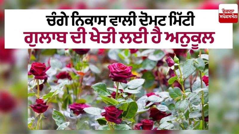 photo photo