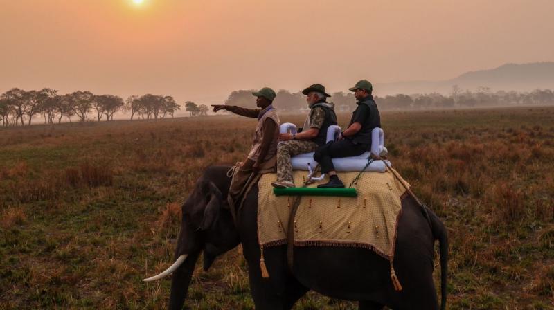 PM narendra Modi Takes Elephant Safari PM narendra Modi Takes Elephant Safari