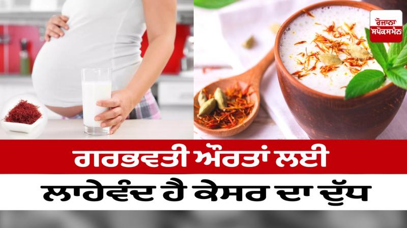 Saffron milk is beneficial for pregnant women Saffron milk is beneficial for pregnant women