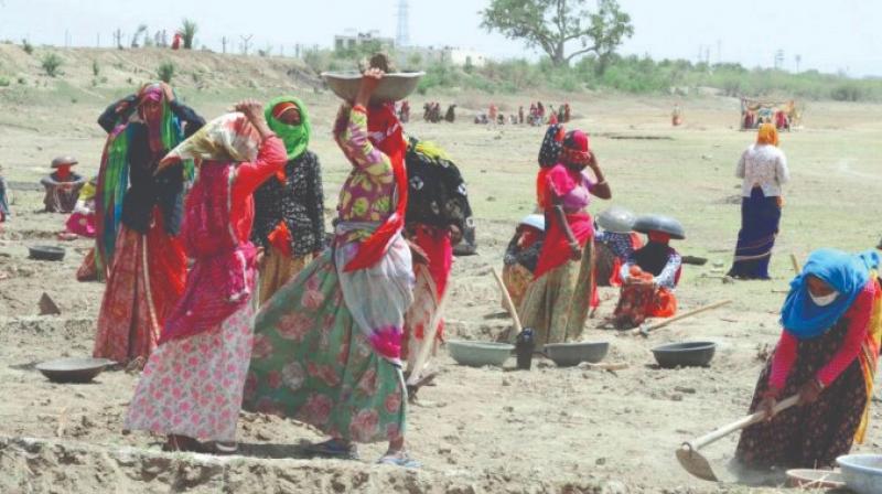 Scissors on rural employment, MNREGA allocation reduced by 30 percent in the budget Scissors on rural employment, MNREGA allocation reduced by 30 percent in the budget