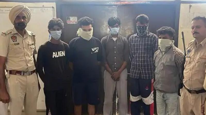 5 members of the robbery gang arrested in Ferozepur, one escaped from the scene 5 members of the robbery gang arrested in Ferozepur, one escaped from the scene