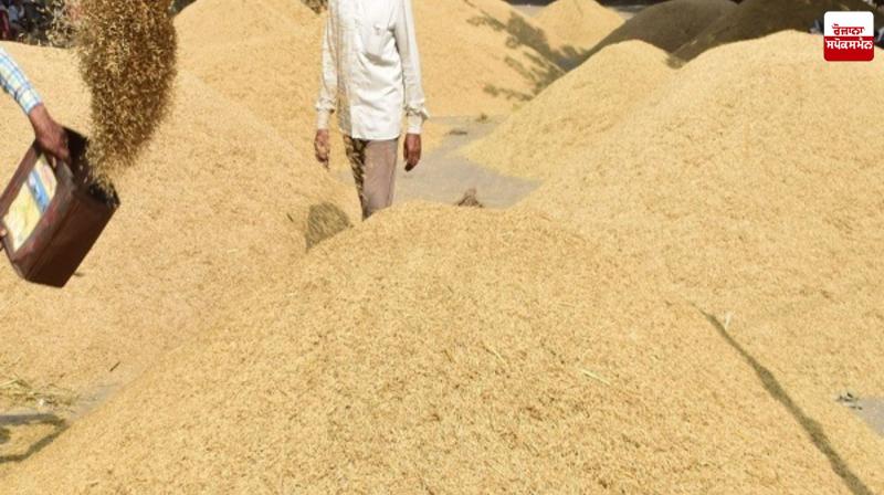Paddy procurement continues at a rapid pace Paddy procurement continues at a rapid pace
