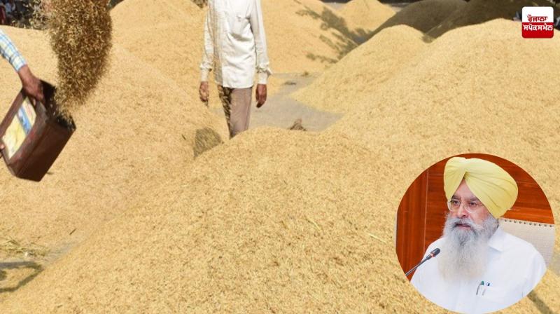 Punjab Mandi Board sets up control room for smooth procurement of paddy Punjab Mandi Board sets up control room for smooth procurement of paddy