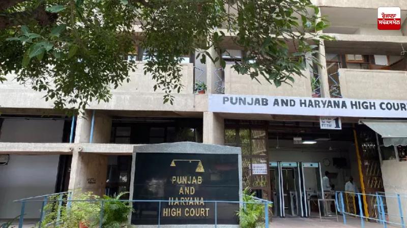 Should Chandigarh's identity be sacrificed to make transportation easier?: High Court Should Chandigarh's identity be sacrificed to make transportation easier?: High Court