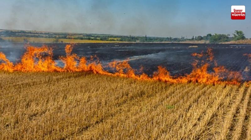 Stubble fire incidents cross 500 in Punjab Stubble fire incidents cross 500 in Punjab
