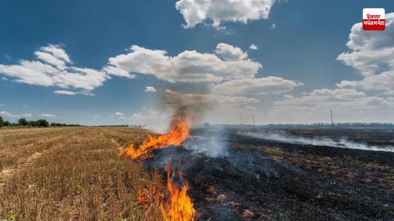 Central government praised Mann government, highlighted Punjab government's success