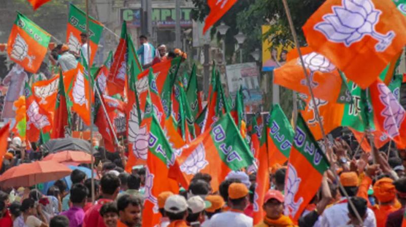 BJP releases list of 40-star campaigners for Delhi Lok Sabha elections BJP releases list of 40-star campaigners for Delhi Lok Sabha elections