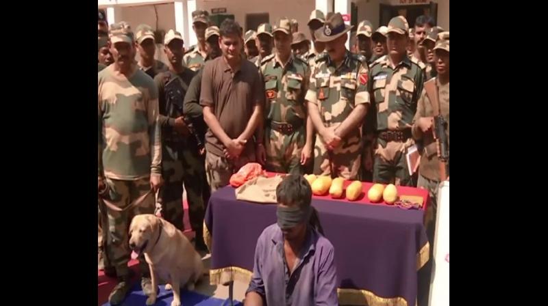 Pak smuggler arrested from Indo-Pak border Pak smuggler arrested from Indo-Pak border