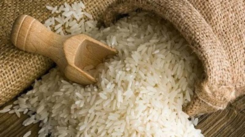 Rice Rice