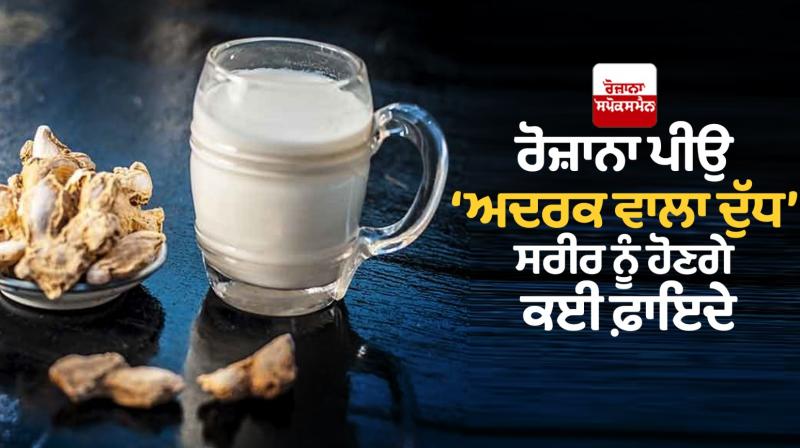 Amazing health benefits of Ginger Milk Amazing health benefits of Ginger Milk