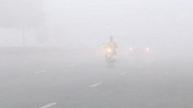 fog fog