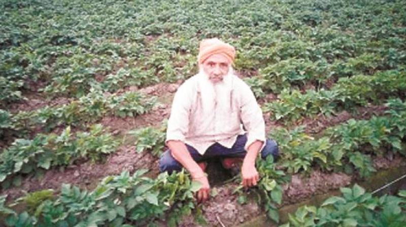 Kissan Kissan