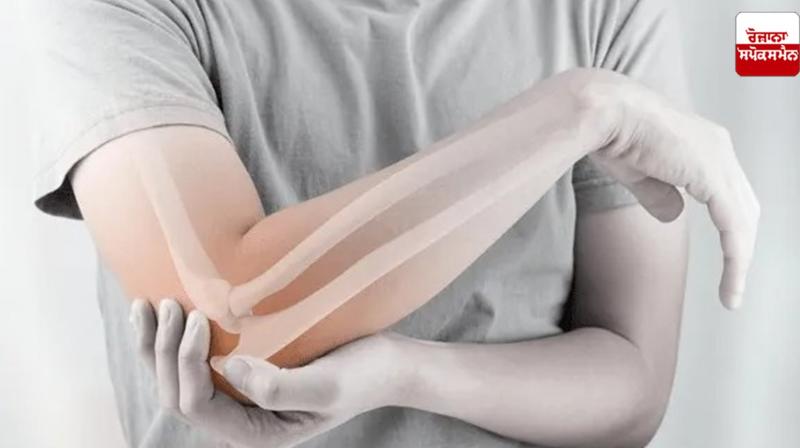 Health Care: Follow these methods to strengthen bones Health Care: Follow these methods to strengthen bones
