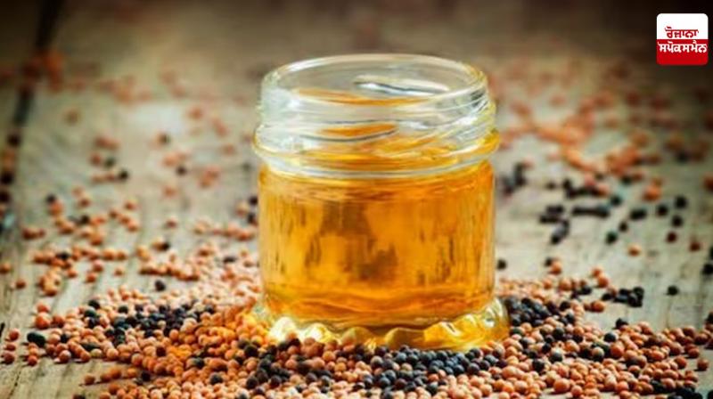 Mustard oil is beneficial for Health News Mustard oil is beneficial for Health News