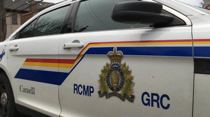 Punjabi Died after vehicle crash in Canada Punjabi Died after vehicle crash in Canada