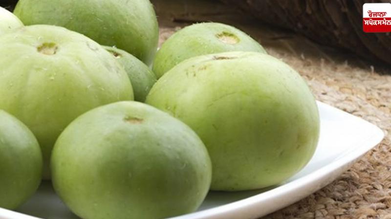 Benefits of Tinda Food Recipes Benefits of Tinda Food Recipes