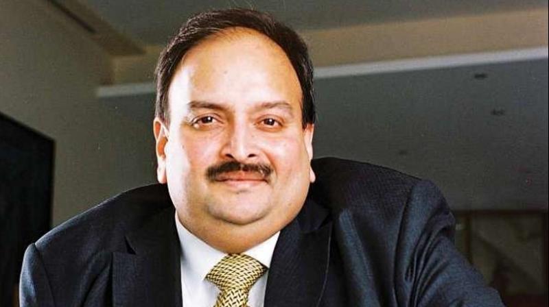 Mehul Choksi