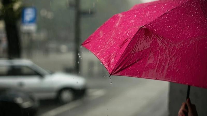 Rain Rain