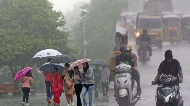 Meteorological Department has issued an alert, heavy rain will occur in September Meteorological Department has issued an alert, heavy rain will occur in September