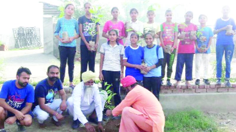 Players Planted Tree