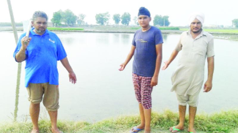 Farmer showing land prepared for paddy Farmer showing land prepared for paddy