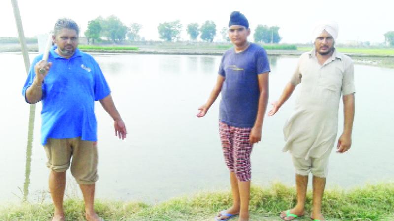 Farmer showing land prepared for paddy