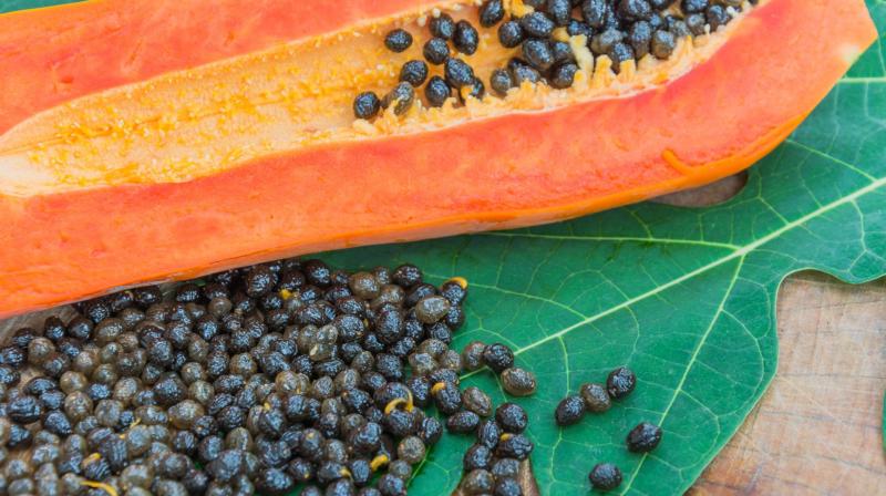 Papaya seeds are also beneficial for the body
