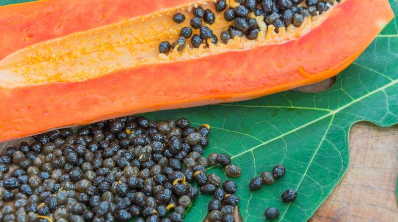 Papaya seeds are also beneficial for the body Papaya seeds are also beneficial for the body