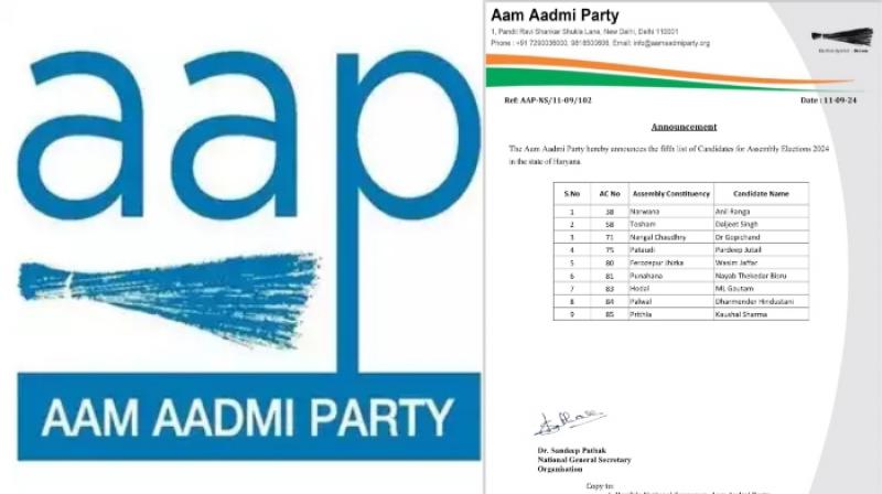 AAP candidates List AAP candidates List