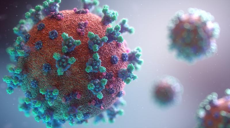 corona virus corona virus