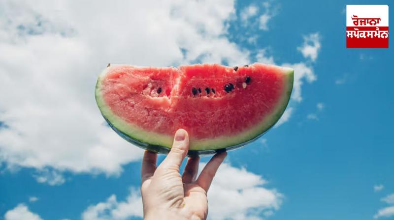 Watermelon Watermelon