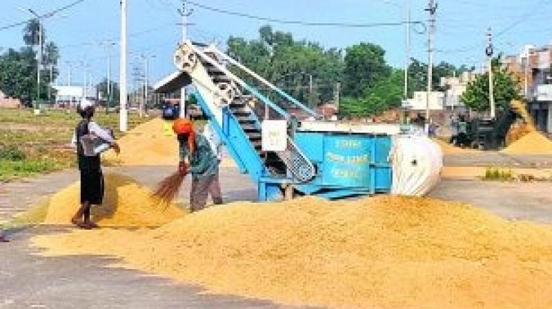 Farmers face paddy procurement problem