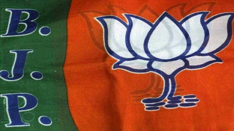 Bhartiya Janta party Bhartiya Janta party