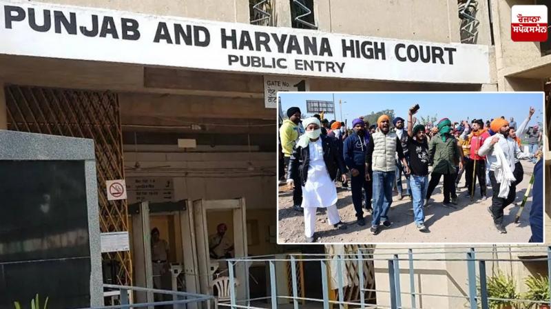 High Court's strong comment on Kisan protest News in punjabi High Court's strong comment on Kisan protest News in punjabi