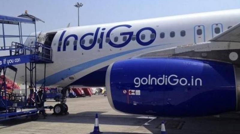 indigo airlines