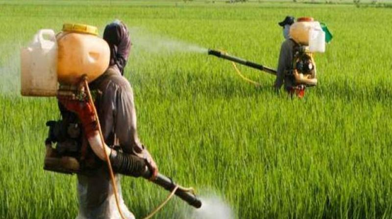 pesticides pesticides