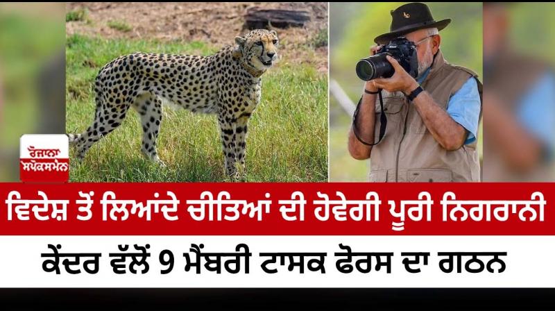 9-member task force to monitor cheetahs in MP’s Kuno National park 9-member task force to monitor cheetahs in MP’s Kuno National park