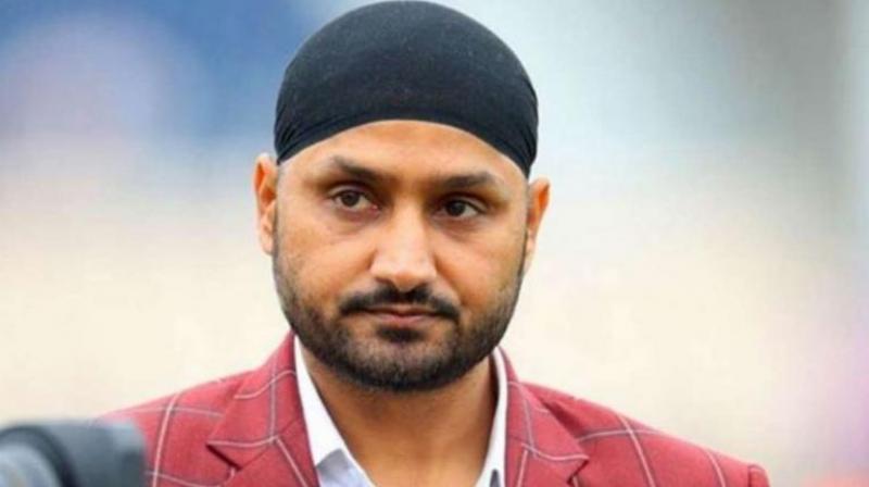 Harbhajan Singh alleges illegal activities by Punjab Cricket Association