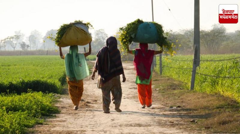 Rural women can change the destiny of the world Rural women can change the destiny of the world
