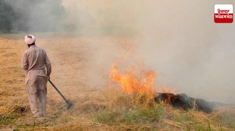 Punjab stubble burning cases News in punjabi