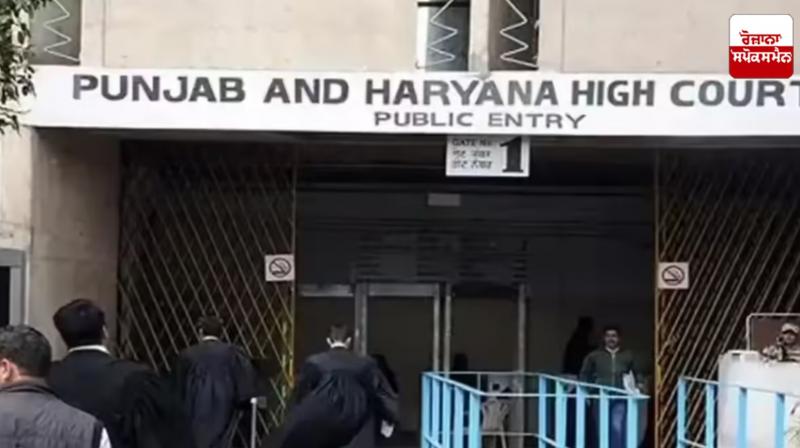 Punjab and Haryana High Court News Punjab and Haryana High Court News