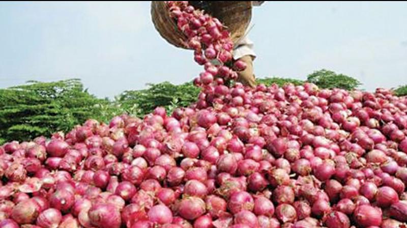 Onion price touch Rs 60 per kg Onion price touch Rs 60 per kg
