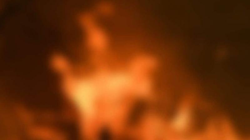 Nigeria Attacks News in punjabi Nigeria Attacks News in punjabi