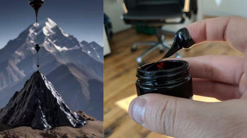 Health Tips: What is Shilajit, know its amazing benefits Health Tips: What is Shilajit, know its amazing benefits