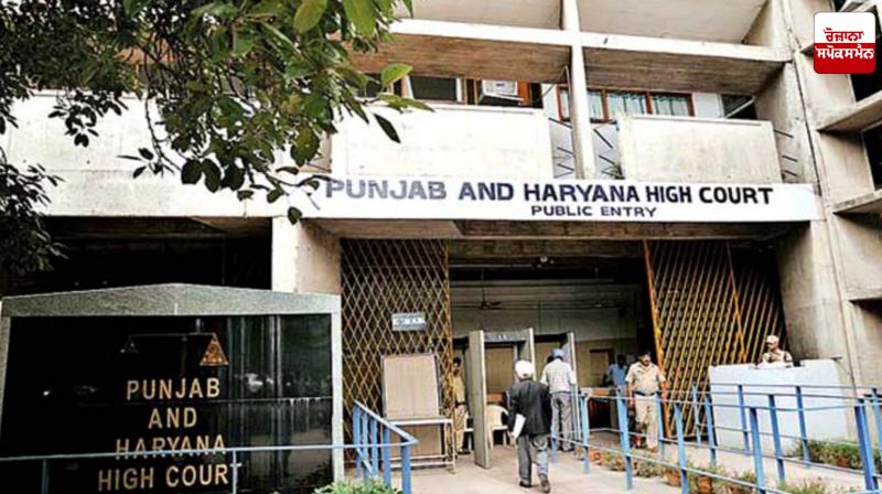 High Court lifts ban on hybrid paddy seeds in Punjab