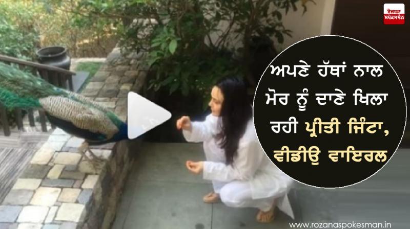 Preity Zinta Preity Zinta