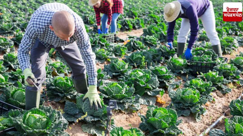 State-level innovation is bringing about major changes in agricultural operations: Review