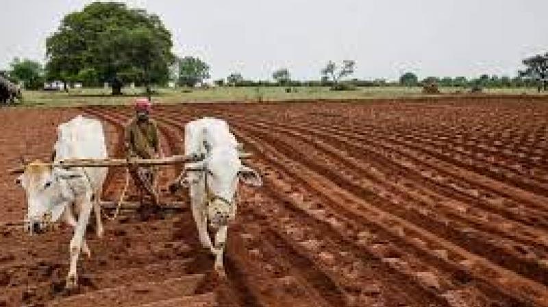 Farmer Protest Farmer Protest