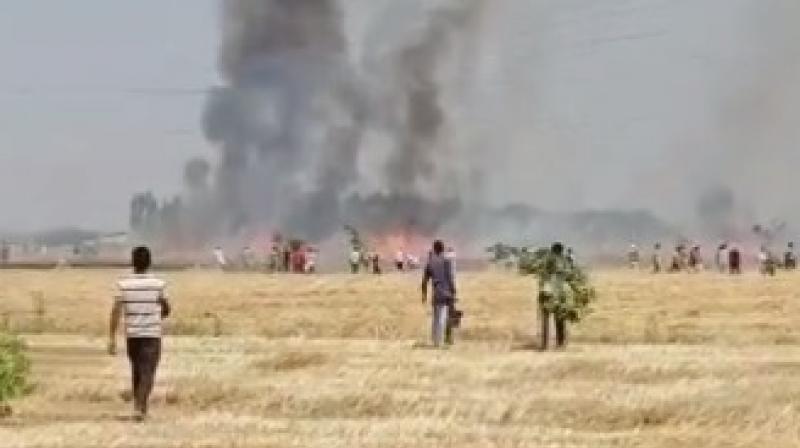 3.5 acres of crops burnt to ashes in Sangrur 3.5 acres of crops burnt to ashes in Sangrur