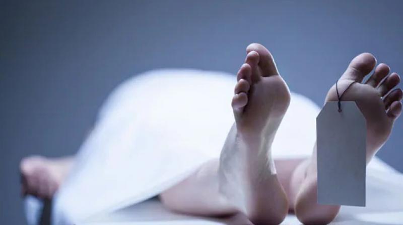 The girl committed suicide by poisoning Moga News The girl committed suicide by poisoning Moga News